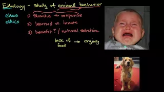 Ethology and animal behavior