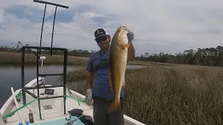 Aucilla Fishing Report (4/19/20)