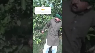 Numberdar Nay Makhu Par Amroodon Ka Bagh | Rocket | New Top Funny | Punjabi Comedy Video |