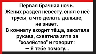 В Брачную Ночь Теща Помогала Зятю! Сборник Свежих Анекдотов! Юмор!