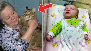 Cat Found An Abandoned Child In The Forest What She Did Was Unexpected | PLOT