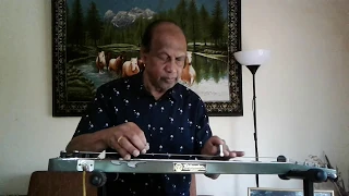 SAIL ALONG SILV'RY MOON - Steel Guitar Instrumental by Paul Perera - Rubicons