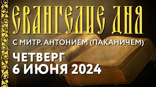 Толкование Евангелия с митрополитом Антонием (Паканичем). Четверг, 6 июня 2024 года.