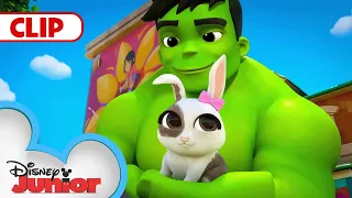 Hulk's Bunny 🐰| Marvel's Spidey and his Amazing Friends | @disneyjunior