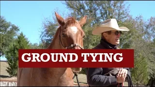 Ground Tying your Horse Part 1: Craig Cameron Ride Smart Horsemanship