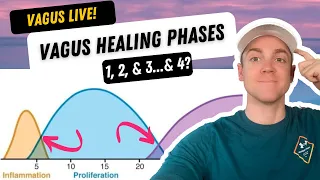 Mapping the Healing Phases of The Vagus Nerve, 1 - 3