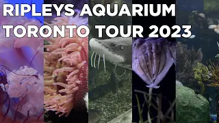 Ripley's Aquarium in Toronto Tour, 2023