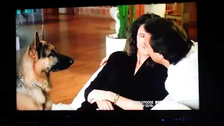 K9 funny scene