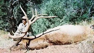 Huge Bull Elk Hunt in Utah - MossBack