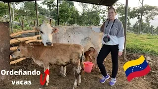 ¿A qué se dedica la gente en el CAMPO DE VENEZUELA? | GLADYS SEARA