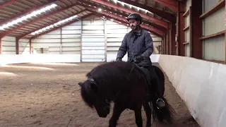 How to work on shifting the horse's weight/ balance from front to back