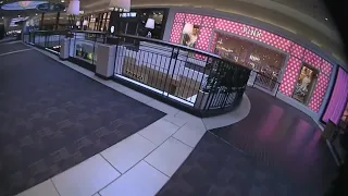 Body camera video shows police response to shots fired inside Polaris Fashion Place on March 15