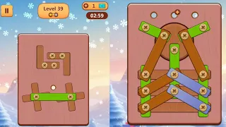 Wood Nuts And Bolts Puzzle Level 39