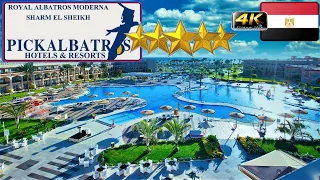 4K ROYAL ALBATROS MODERNA SHARM EL SHEIKH 2023 HOTEL GOOD BEACH RESORT EGYPT