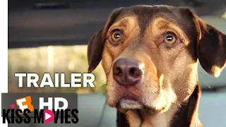 [Kissmovies]A Dog's Way Home International Trailer #1 (2019) | Movieclips Trailers