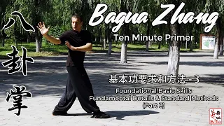 Bagua Zhang Ten Minute Primer - Foundational Basic Skills (Part 3)