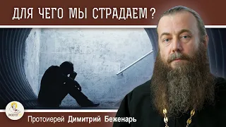 ДЛЯ ЧЕГО МЫ СТРАДАЕМ ?  Протоиерей Димитрий Беженарь