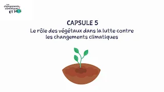 Capsule 5 : Le rôle des végétaux dans la lutte contre les changements climatiques