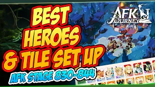 BEST HEROES & POSITIONING GUIDE AFK STAGE 830-844 | AFK JOURNEY