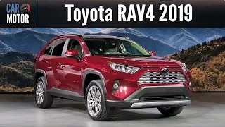 Toyota RAV4 2019 - Totalmente renovada y con más carácter