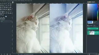 Darktable 2.7.0 und Gimp 2.10.8 – Angorakatze am Fenster (RAW-File)