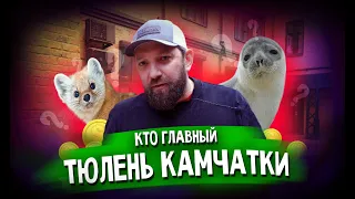 Блогеры врут про Камчатку. Что говорит Соболев на самом деле