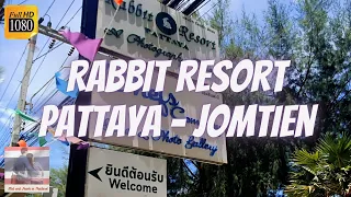 Pattaya - Jomtien Strand, Essen und etwas mit einem Hasen 🏖️🍜🐰 Die Inhaberin zeigt uns die Anlage