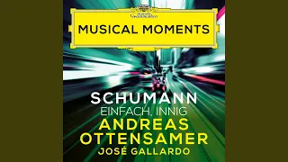 Schumann: 3 Romances, Op. 94 - No. 2, Einfach, innig (Musical Moments)