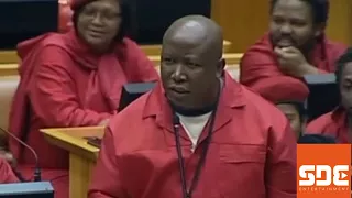 Seven instances Julius Malema shocked the world