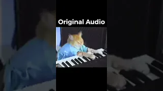 What he ACTUALLY played 🐱(Keyboard Cat Legend) #shorts28 #piano