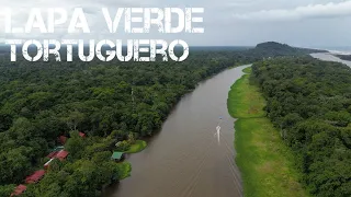 Tortuguero Lapa Verde Lodge - Costa Rica Cinematic Drone 4K