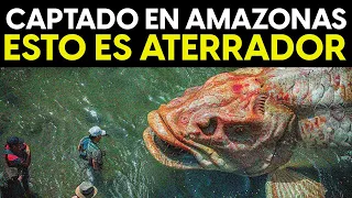 ¡Este NUEVO Descubrimiento ATERADOR En La Selva Amazónica ASUSTÓ A LOS CIENTÍFICOS!