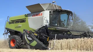 Claas Lexion 770 TT harvesting wheat w/ 35 ft. MacDon FD135 Header | Harvest 2020 | DK Agriculture