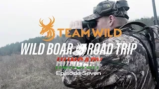 Wild Boar Hunting: Stalking Wild Boar, Fallow Doe and Mouflon Rams in Hungary