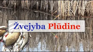 Pavasarinė Žvejyba Plūdine - Gabrielius Ser