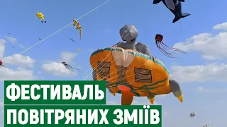 Літаючі кити, ведмідь та прибулець: на Миколаївщині триває фестиваль повітряних зміїв
