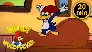 Woody Goes to Therapy | 3 Full Episodes | Woody Woodpecker