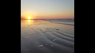 Crystal Beach Sunrise #1