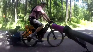 Dog Bike Packing, road & single track with Burley Coho trailer