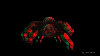 Vídeo 3D - Aranha Peluda salta da tela / 3D video - hairy spider jumps out of the screen
