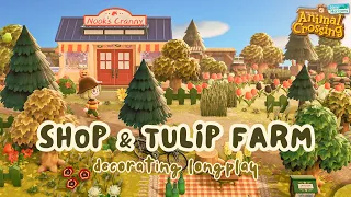 Animal Crossing Longplay 🌼 Nook's Cranny & Tulip Farm (No Commentary)