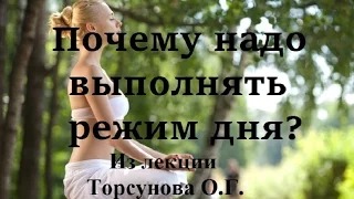 Почему надо выполнять режим дня? Из лекции Торсунова О.Г.