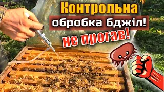 Багато кліща Вароа? Не прогавить момент!