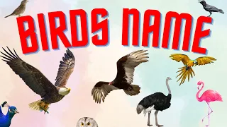 50 Birds name with pictures | [Learn birds name]  Birds vocabulary for kids | #birdsnamewithpictures