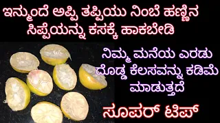 ನಿಂಬೆ ಹಣ್ಣಿನ ಸಿಪ್ಪೆಯನ್ನು ಕಸಕ್ಕೆ ಎಸಿಬೇಡಿ ನಿಮ್ಮ ಎರಡು ದೊಡ್ಡ ಕೆಲಸವನ್ನು ಕಡಿಮೆ ಮಾಡುತ್ತೆ lemon peel remedy