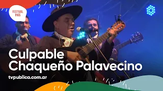 Chaqueño Palavecino en La Chaya - Festival País 2022