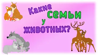 Дикие животные и их "семьи".