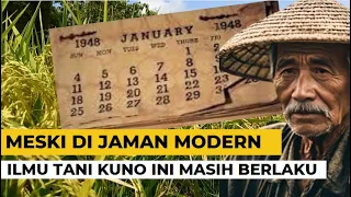 MESKI JAMAN MODERN, JANGAN LANGGAR ILMU KUNO INI AGAR PADI MU TETAP SUBUR BEBAS HAMA PANEN JOSS