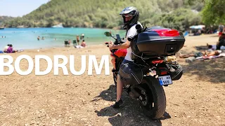 Domuzlarla Dolu Cennet Koyu Kampı | Bodrum, Muğla | 4.BÖLÜM