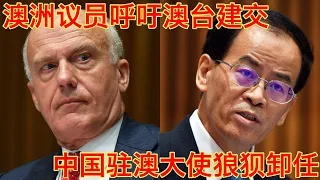 澳洲议员呼吁与台湾全面建交，中国驻澳大使离任狼狈回国，最后再讲个超级好笑的事（坐澳观天第483期 20211029）